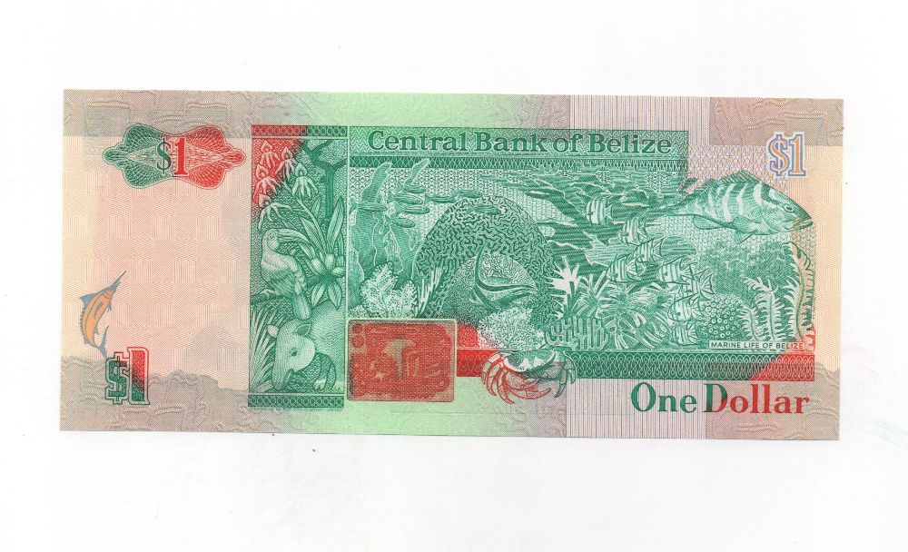 BELIZE DEL AÑO 1990 DE 1 DOLAR