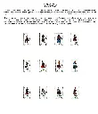 1970 reves.webp