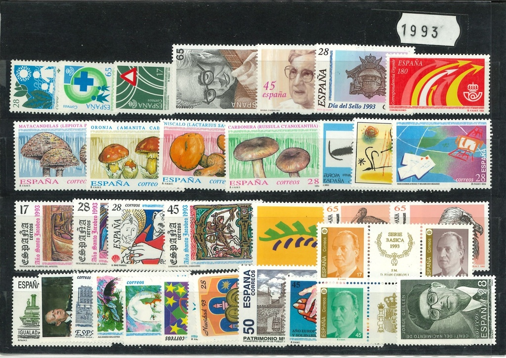 1993- AÑO COMPLETO