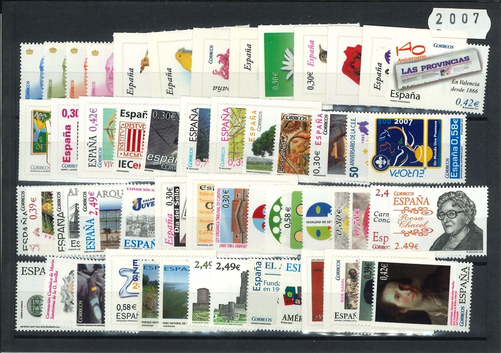 2007- AÑO COMPLETO