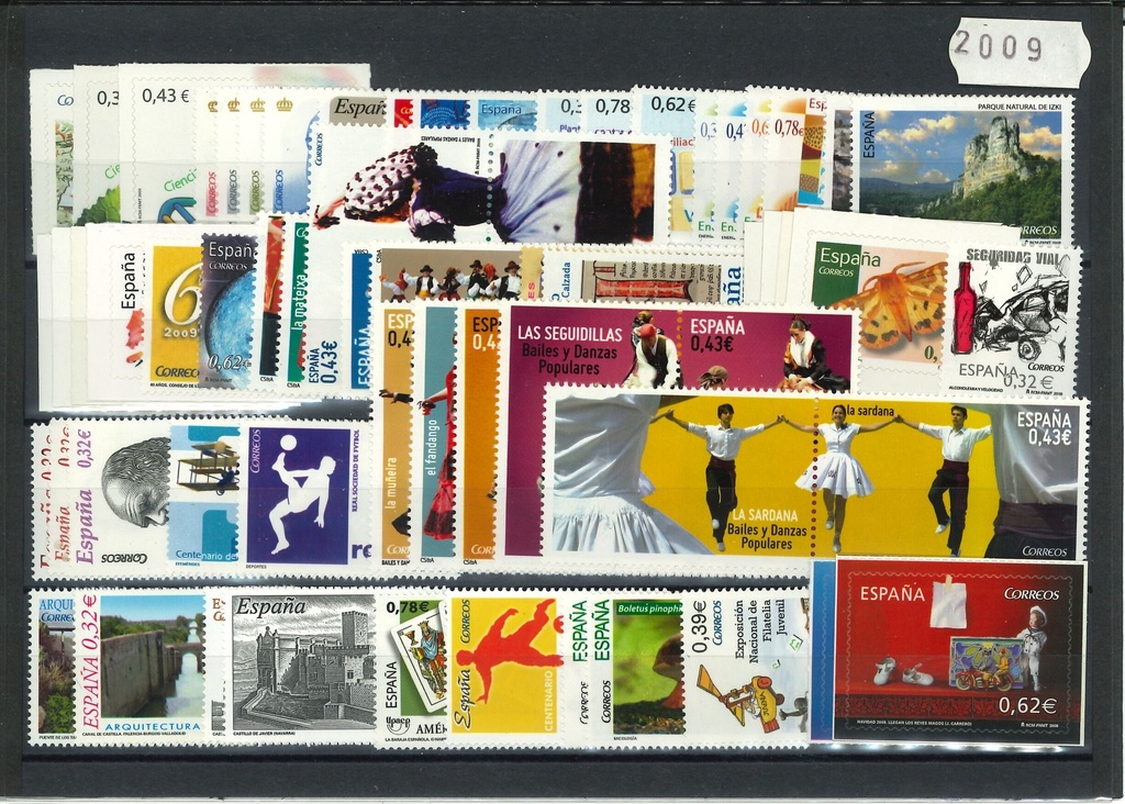 2009- AÑO COMPLETO