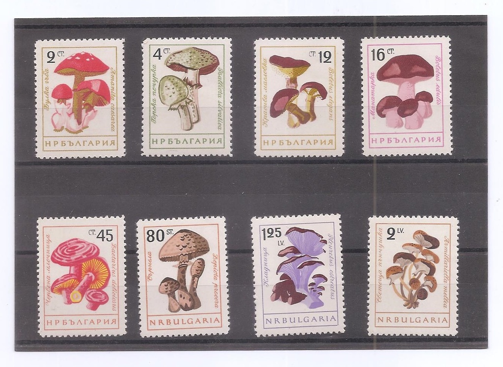 BULGARIA DEL AÑO 1961 SETAS