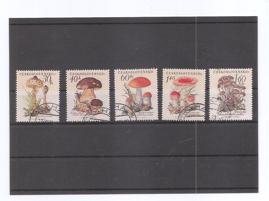 CHECOSLOVAQUIA DEL AÑO 1958 SETAS