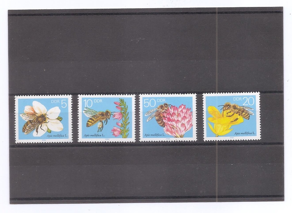 ALEMANIA ORIENTAL DEL AÑO 1990 INSECTOS