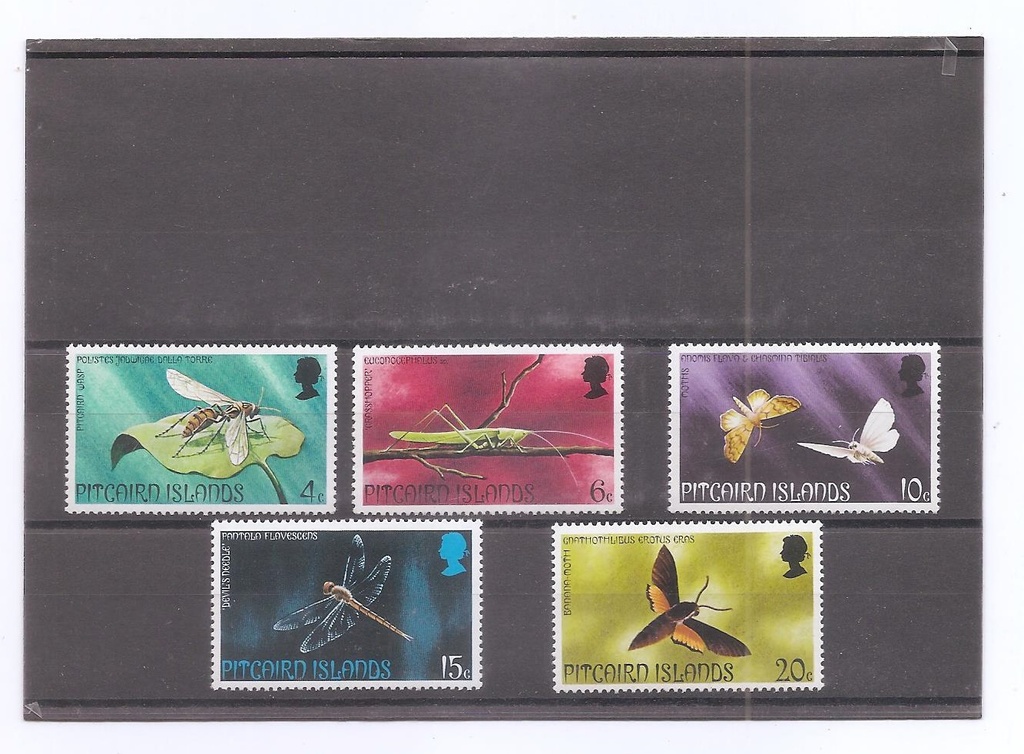 ISLAS PITCAIRD DEL AÑO 1975 INSECTOS