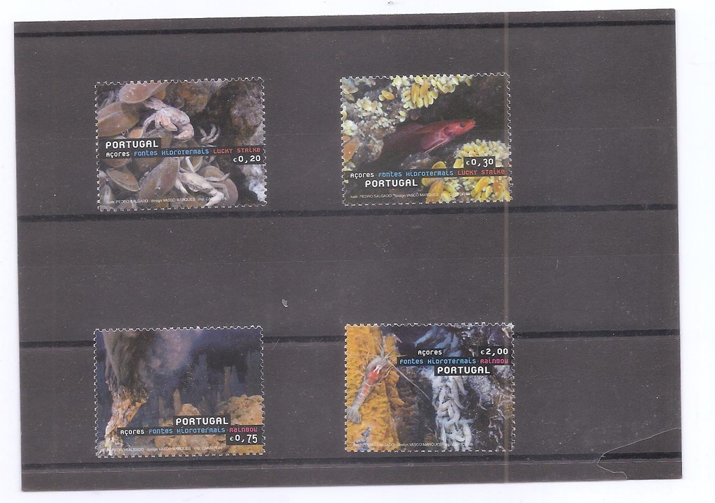 AÇORES DEL AÑO 2006 FAUNA MARINA