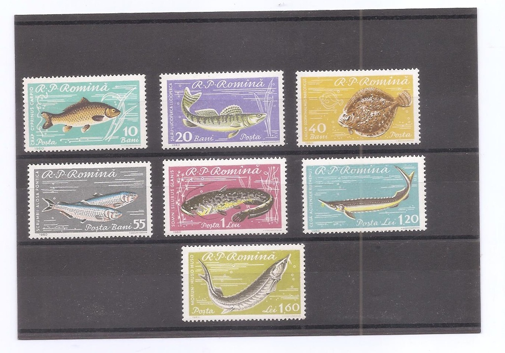 RUMANIA DEL AÑO 1960 FAUNA MARINA