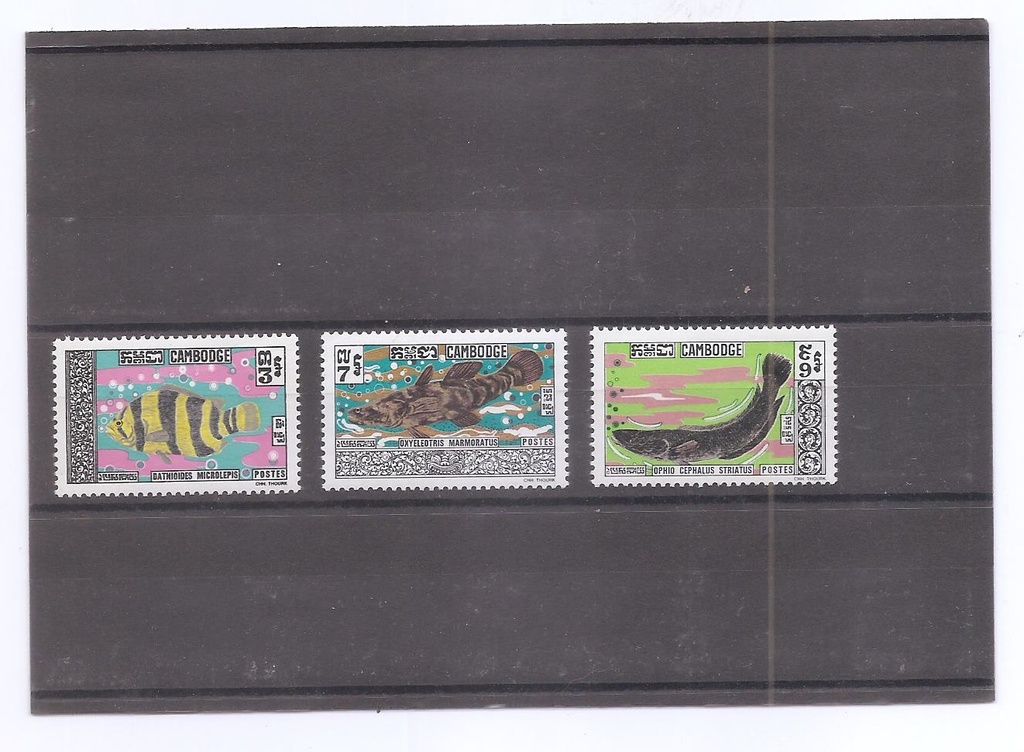 CAMBOYA DEL AÑO 1970 FAUNA MARINA