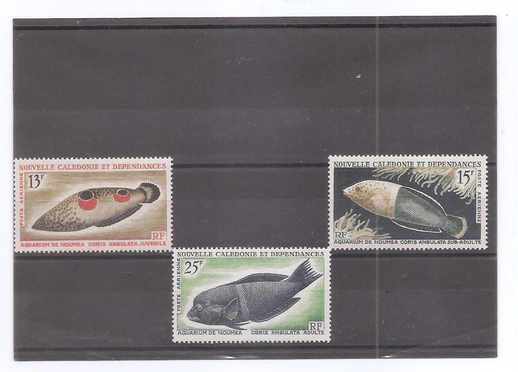 NUEVA CALEDONIA DEL AÑO 1965 FAUNA MARINA