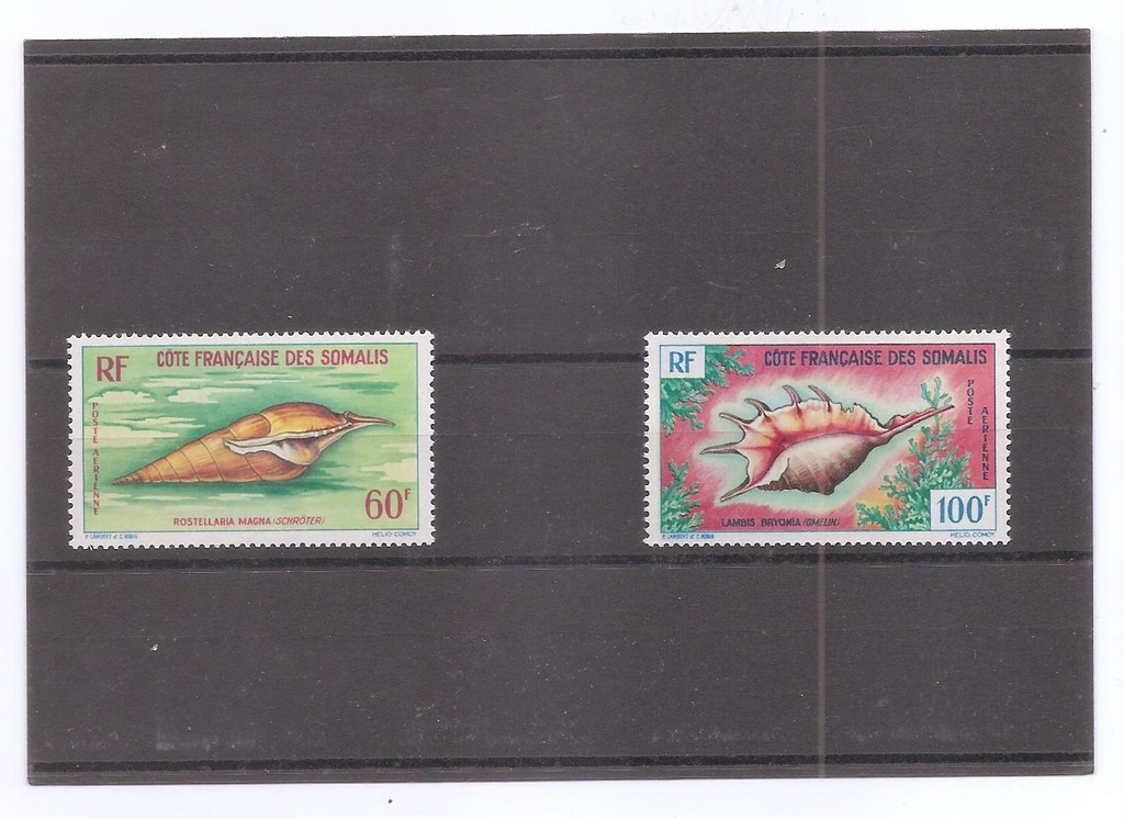 COSTA FRANCESA SOMALI FAUNA MARINA
