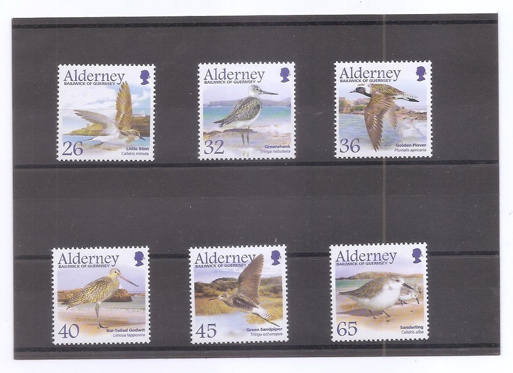 ALDERNEY DEL AÑO 2005 PAJAROS