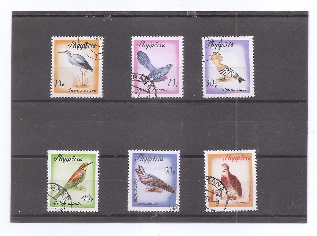 ALBANIA DEL AÑO 1965 PAJAROS