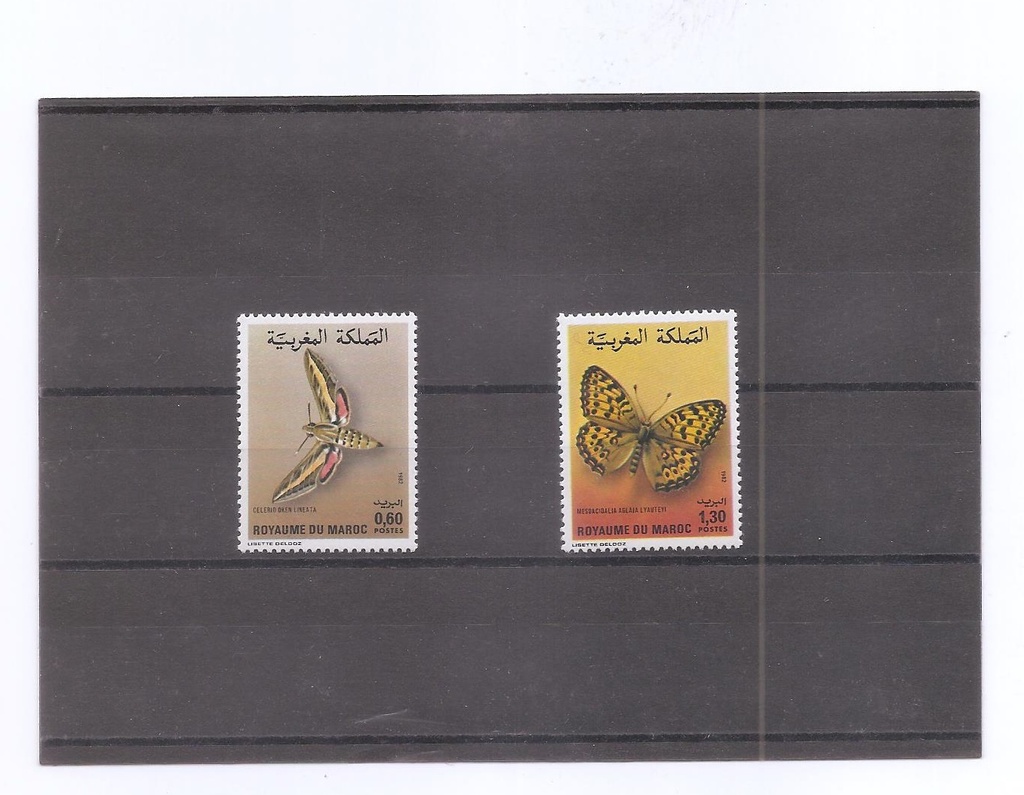 MARRUECOS DEL AÑO 1982 MARIPOSAS