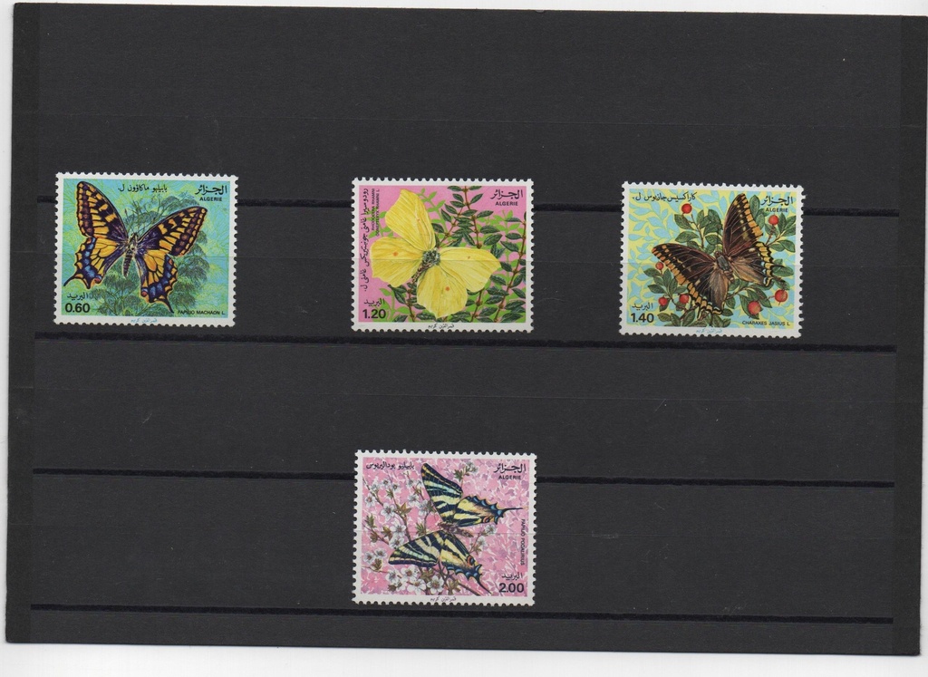 ARGELIA DEL AÑO 1981 MARIPOSAS