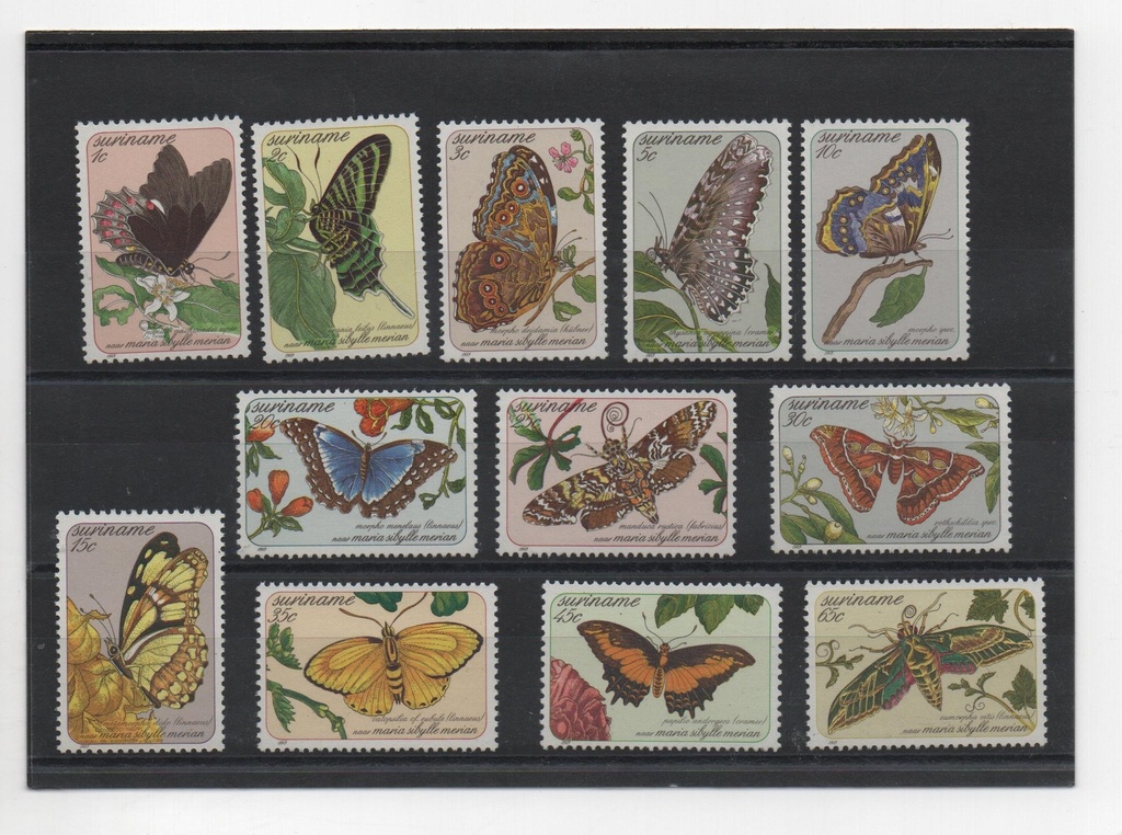 SURINAM DEL AÑO 1983 MARIPOSAS