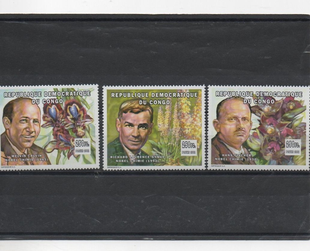 CONGO DEL AÑO 2002 PREMIOS NOVEL