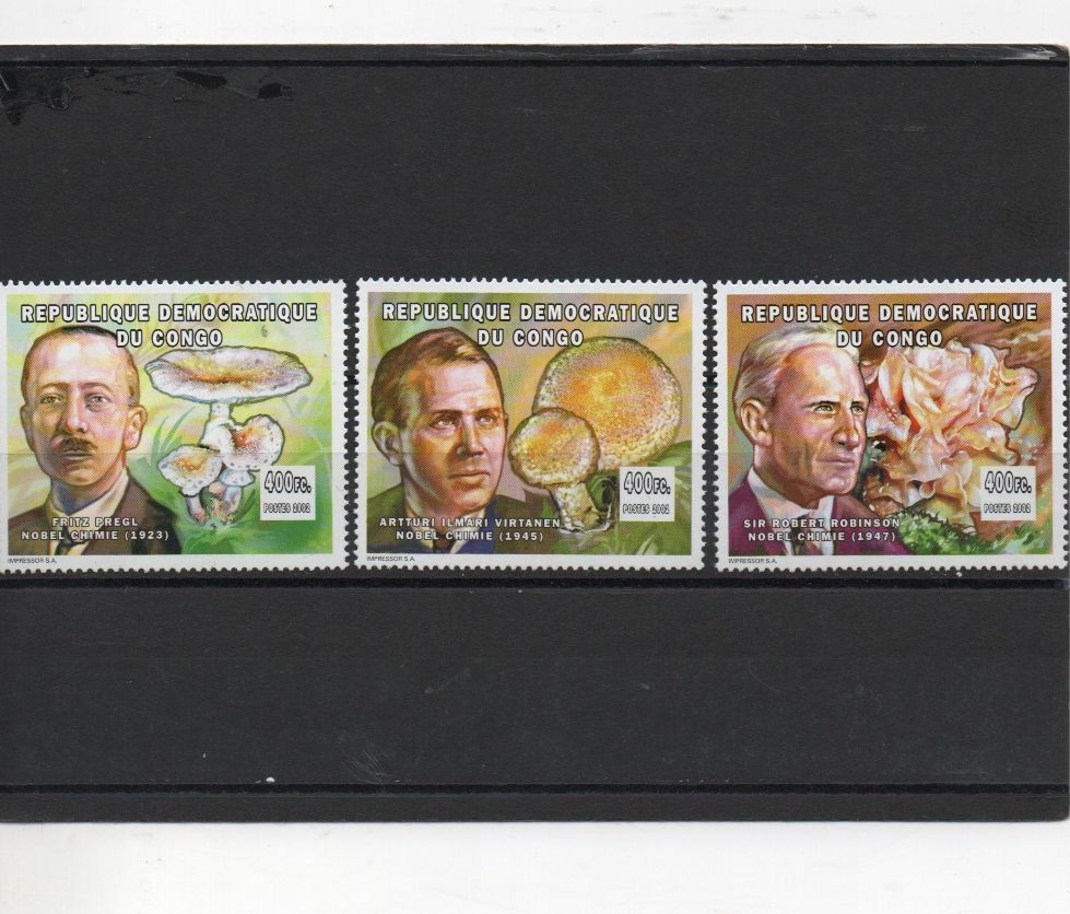 CONGO DEL AÑO 2002 PREMIOS NOVEL