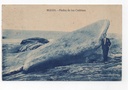 ESPAÑA POSTAL Nº 23 MUGIA