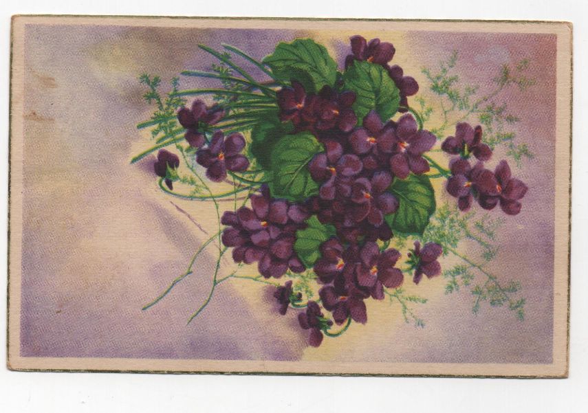 ESPAÑA POSTAL Nº 7 FLORES