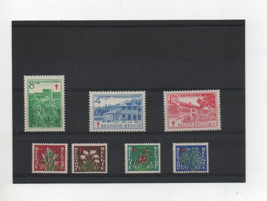 COLECCIÓN DE SELLOS DE BELGICA DEL AÑO 1950 SERIE Nº 834/840