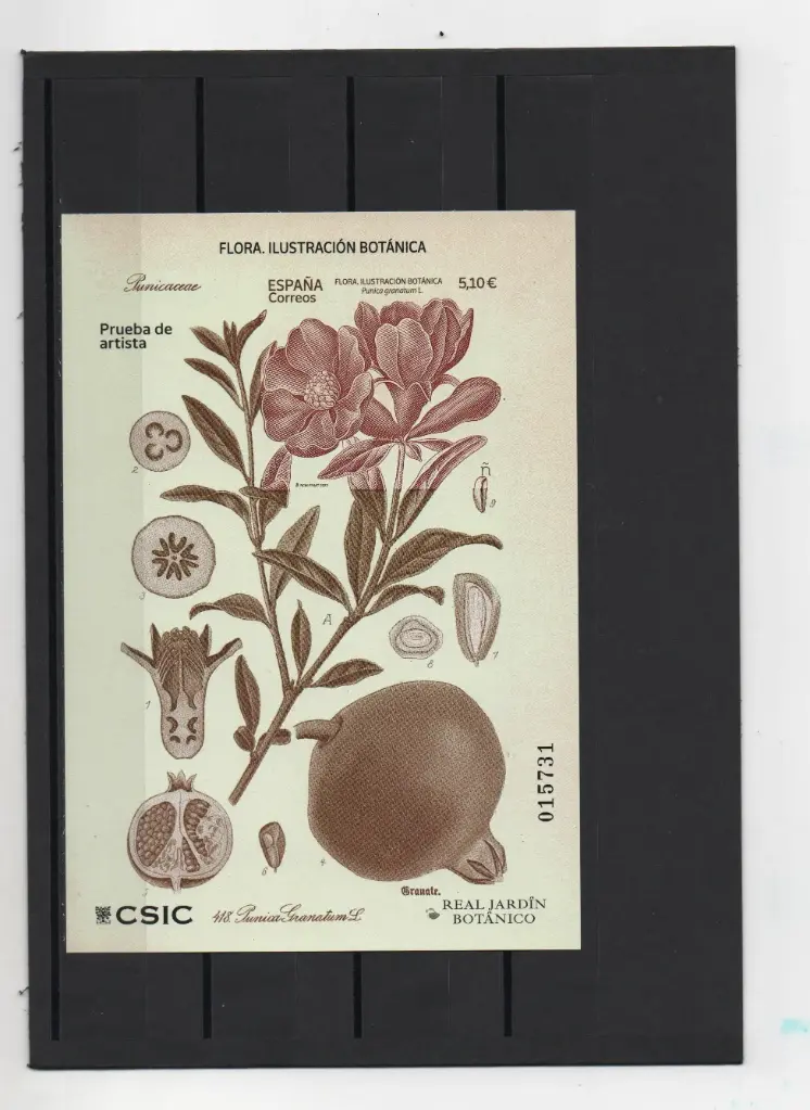 2022 FLORA ILUSTRACION BOTANICA Nº161