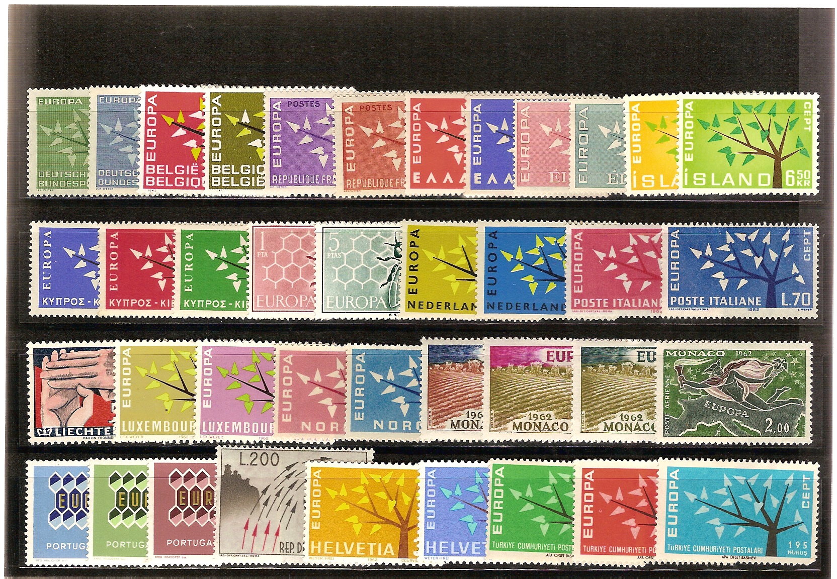 1962- ARBRE AMB 19 FULLES