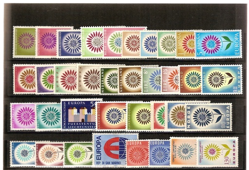 1964- MARGARITA CON 22 PETALOS