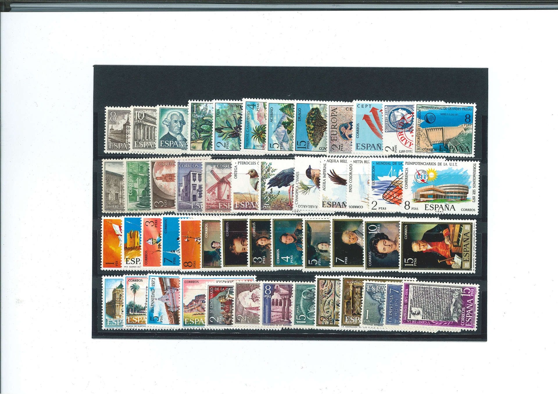 1973- AÑO COMPLETO