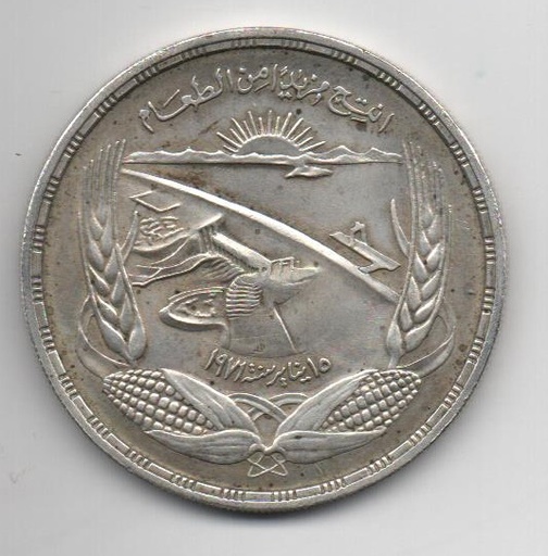EGIPTO DEL AÑO 1973 DE 1 POUND