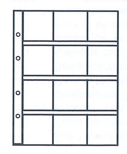 HOJAS MONEDAS JUNIOR