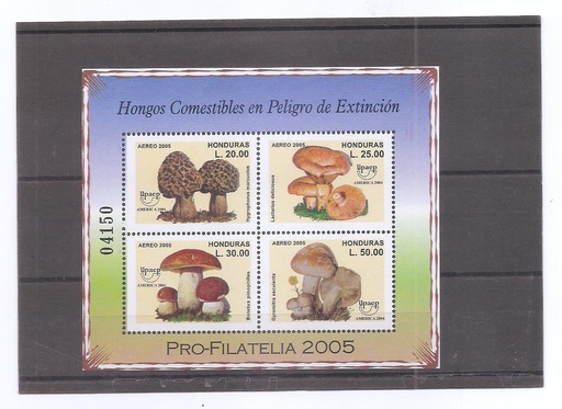 HONDURAS DEL AÑO 2005 SETAS