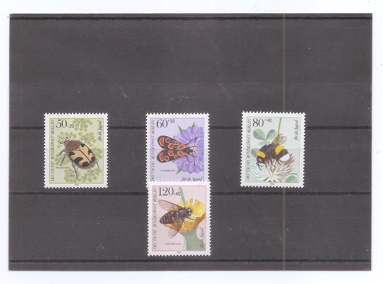 ALEMANIA FEDERAL BERLIN DEL AÑO 1984 INSECTOS