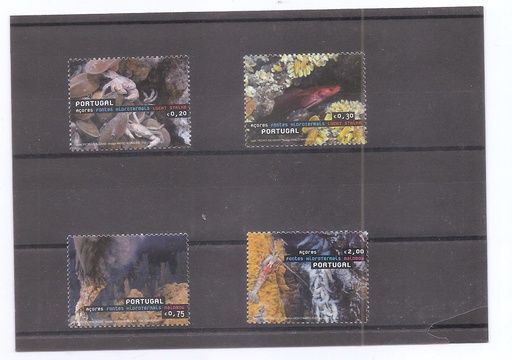 AÇORES DEL AÑO 2006 FAUNA MARINA