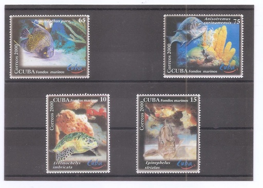 CUBA DEL AÑO 2000 FAUNA MARINA