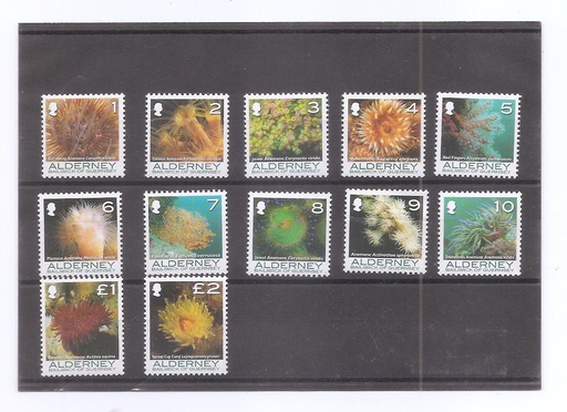 ALDERNEY DEL AÑO 2006 FAUNA MARINA
