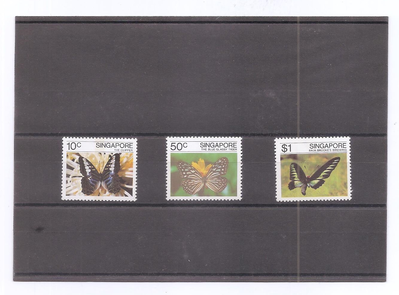 SINGAPUR DEL AÑO 1982 MARIPOSAS
