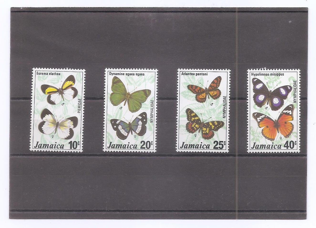 JAMAICA DEL AÑO 1977 MARIPOSAS