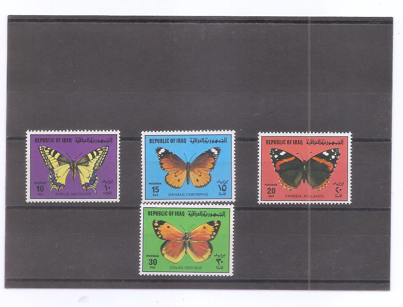 IRAK DEL AÑO 1980 MARIPOSAS