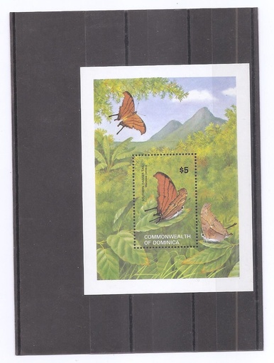 DOMINICA DEL AÑO 1982 MARIPOSAS