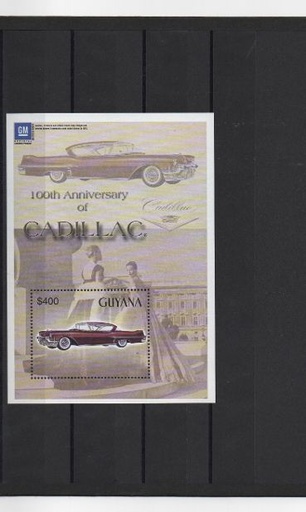 GUYANA DEL AÑO 2003 COCHES