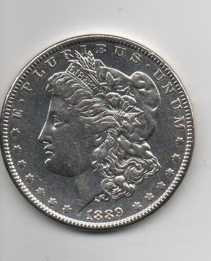 ESTADOS UNIDOS DEL AÑO 1889 DE 1 DOLAR