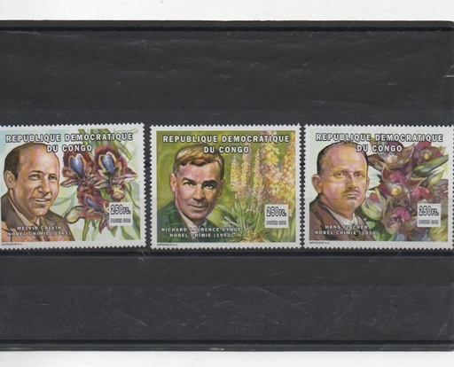 CONGO DEL AÑO 2002 PREMIOS NOVEL