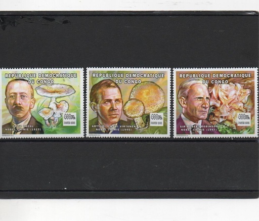 CONGO DEL AÑO 2002 PREMIOS NOVEL