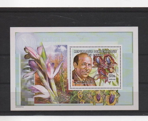 CONGO DEL AÑO 2002 PREMIOS NOVEL