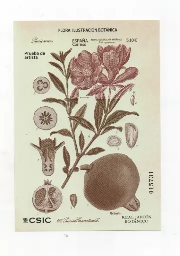 FLORA ILUSTRACION BOTANICA 2022 Nº161