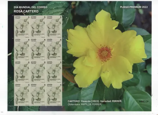2022 Nº128 DIA MUNDIAL DE CORREO ROSA CARTERO