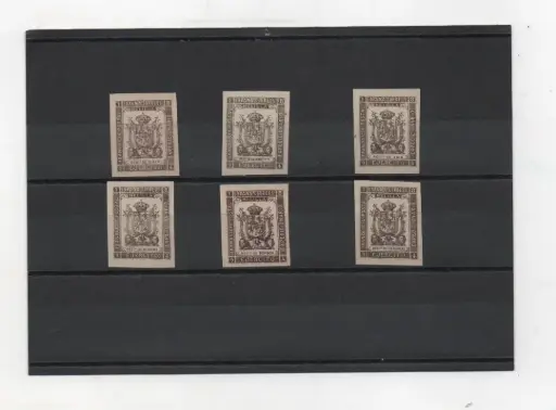 ESPAÑA DEL AÑO 1894 5ª SERIE REGIMIENTO DE INFANTERIA Nº 36S/41S SIN DENTAR