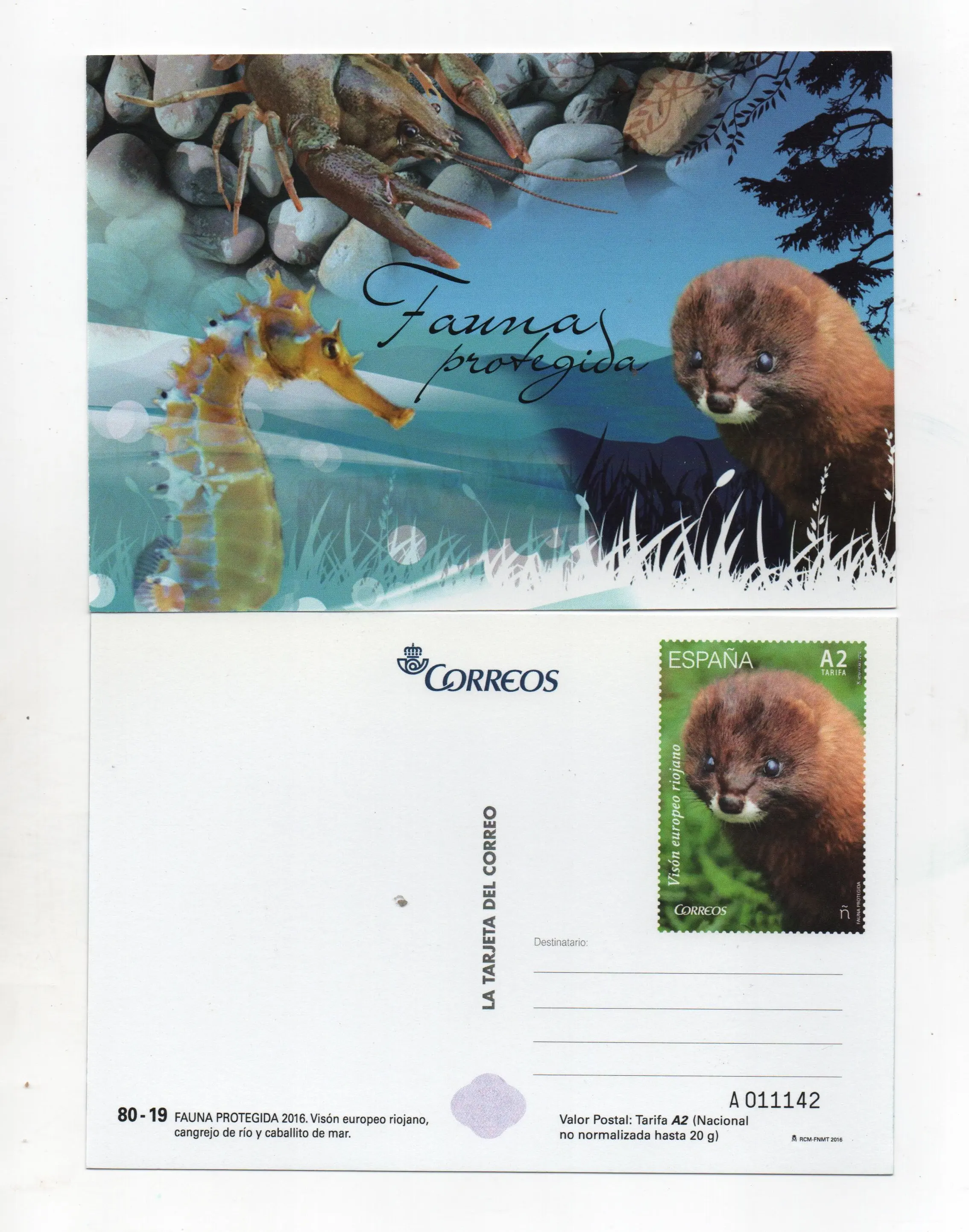 FAUNA PROTEGIDA Nº115 AÑO 2016