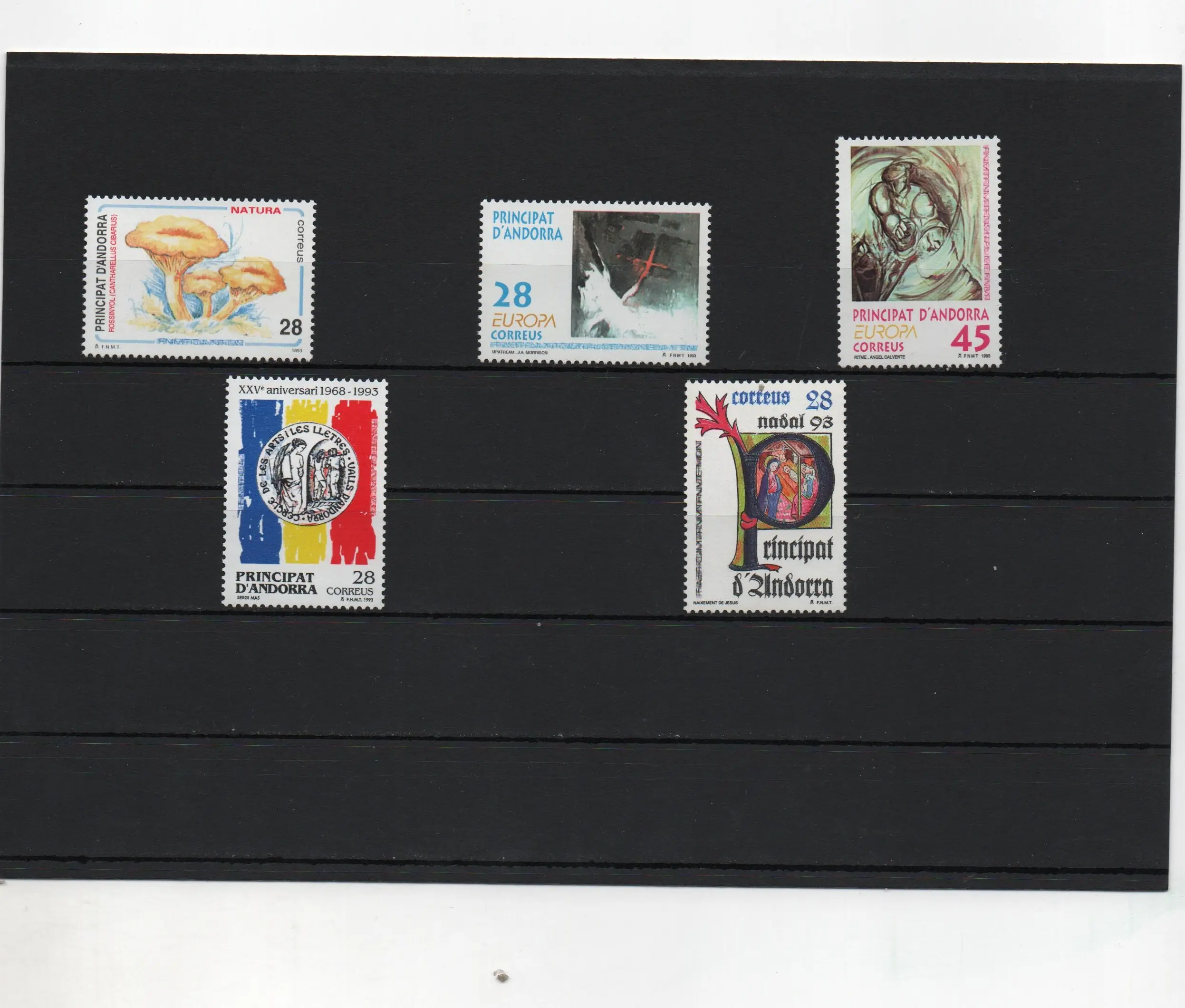 ANDORRA ESPAÑOLA AÑO 1993 COMPLETO NUEVOS
