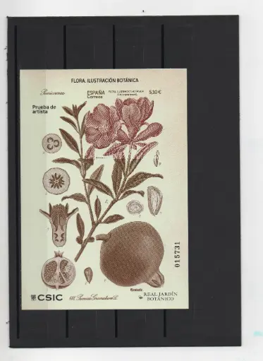 2022 FLORA ILUSTRACION BOTANICA Nº161